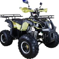 Квадроциклы AVANTIS