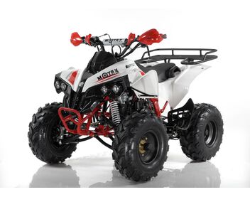Квадроцикл MOTAX ATV Raptor Super LUX 125 - изображение 84