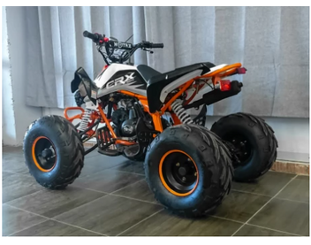 Квадроцикл MOTAX ATV T-Rex LUX 125 - изображение 51