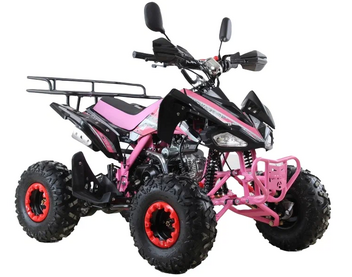 Квадроцикл MOTAX ATV T-Rex Super LUX 125 - изображение 33