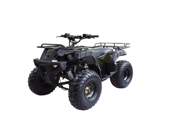 Квадроцикл WELS ATV THUNDER 150 - изображение 29
