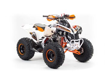 Квадроцикл MOTOLAND 125 RAPTOR - изображение 13