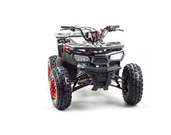 Квадроцикл MOTOLAND 150 WILD - изображение 29