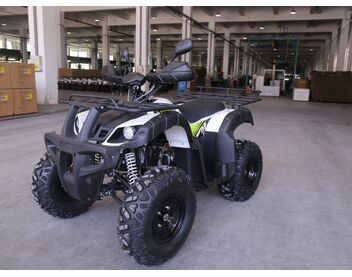 Квадроцикл JAEGER 200 - изображение 21