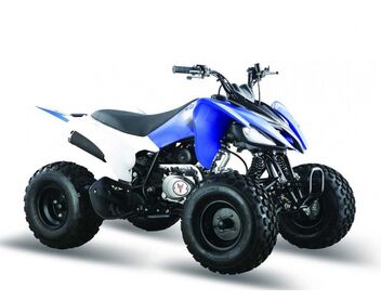 Квадроцикл PANTERA 200 CVT - изображение 7