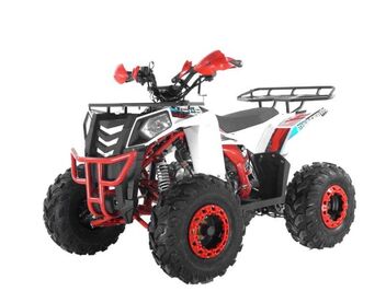 Квадроцикл WELS Thunder EVO - изображение 43