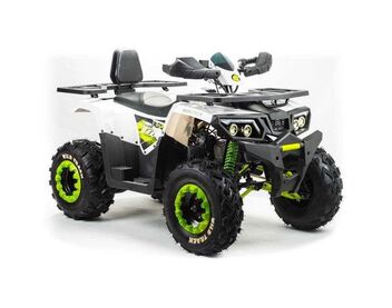 Квадроцикл MOTOLAND 200 WILD TRACK LUX - изображение 25