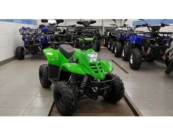 Raptor 110cc вариатор - изображение 16