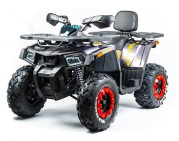 Квадроцикл MOTOLAND 200 WILD TRACK X PRO - изображение 36
