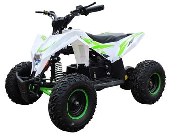 Электроквадроцикл MOTAX GEKKON 1300W - изображение 76
