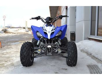 Квадроцикл MOTOLAND 250S - изображение 51