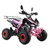 Квадроцикл MOTAX ATV T-Rex Super LUX 125 - изображение 33