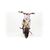 Кросс CRF125 SM - изображение 53