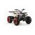 Квадроцикл MOTOLAND 200 WILD TRUCK - изображение 61