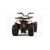 Квадроцикл MOTOLAND 200 WILD TRUCK - изображение 66