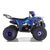 Квадроцикл WELS Thunder EVO - изображение 65