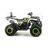 Квадроцикл MOTOLAND 200 WILD TRACK LUX - изображение 34