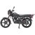 Мотоцикл Regulmoto SK200 - изображение 33