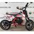 Питбайк MOWGLI MINI 2T 10/10 50cc MOWGLI 49 3,5 - изображение 3 | SteelRacing.ru