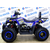 Квадроцикл AVANTIS HUNTER 200 LUX Linhai 16 - изображение 4 | SteelRacing.ru