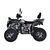 Квадроцикл Regulmoto XMR 200 Lux Regulmoto 200 17 - изображение 2 | SteelRacing.ru