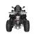Квадроцикл Regulmoto XMR 200 Lux Regulmoto 200 17 - изображение 4 | SteelRacing.ru