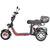 WHITE SIBERIA PRO TRIKE 3000W White Siberia - изображение 2 | SteelRacing.ru