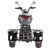WHITE SIBERIA PRO TRIKE 3000W White Siberia - изображение 4 | SteelRacing.ru