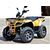 Квадроцикл IRBIS ATV200 PREMIUM Irbis 180 12 - изображение 1 | SteelRacing.ru