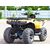 Квадроцикл IRBIS ATV200 PREMIUM Irbis 180 12 - изображение 4 | SteelRacing.ru