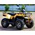 Квадроцикл IRBIS ATV200 PREMIUM Irbis 180 12 - изображение 5 | SteelRacing.ru