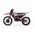 Мотоцикл кроссовый ROCKOT GS 7 Tribute (250сс, 172FMM, 21/18) Rockot 250 21 - изображение 10 | SteelRacing.ru