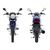 Мотоцикл Regulmoto SK 150-6 Regulmoto - изображение 14 | SteelRacing.ru