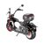 Электроскутер WS-WILD WHEEL 3950W White Siberia - изображение 22 | SteelRacing.ru