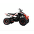 Квадроцикл 250 RALLY Motoland 250 21 - изображение 2 | SteelRacing.ru
