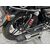 Мотоцикл Regulmoto SK 200-20 Regulmoto 200 13,5 - изображение 11 | SteelRacing.ru