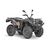 Квадроцикл Striker 400 EFI Baltmotors 392 20 - изображение 2 | SteelRacing.ru