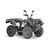 Квадроцикл Striker 400 EFI Baltmotors 392 20 - изображение 3 | SteelRacing.ru