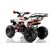 Квадроцикл MOTAX ATV Raptor Super LUX 125 - изображение 99