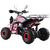 Квадроцикл MOTAX ATV T-Rex Super LUX 125 - изображение 34