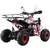 Квадроцикл MOTAX ATV T-Rex Super LUX 125 - изображение 35