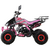 Квадроцикл MOTAX ATV T-Rex Super LUX 125 - изображение 36