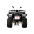Квадроцикл YACOTA CABO 200 LD - изображение 114