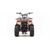 Квадроцикл MOTOLAND 110 RIDER - изображение 52