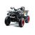 Квадроцикл MOTOLAND 200 WILD TRACK X PRO - изображение 54