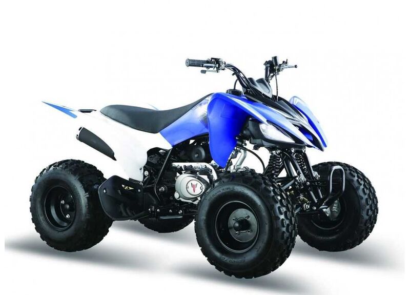 ATV PANTERA 125 - изображение 25