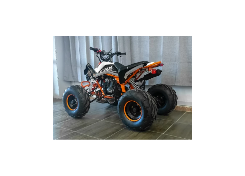 Квадроцикл MOTAX ATV T-Rex LUX 125 - изображение 51
