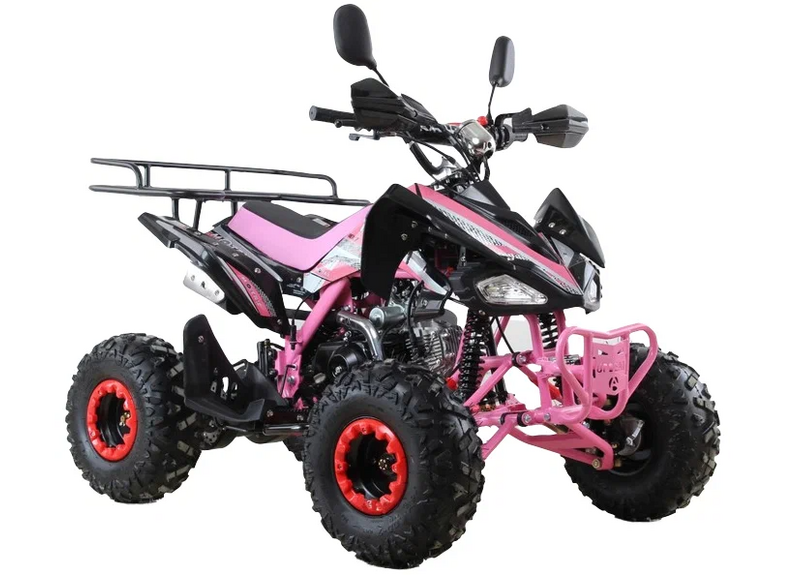 Квадроцикл MOTAX ATV T-Rex Super LUX 125 - изображение 33