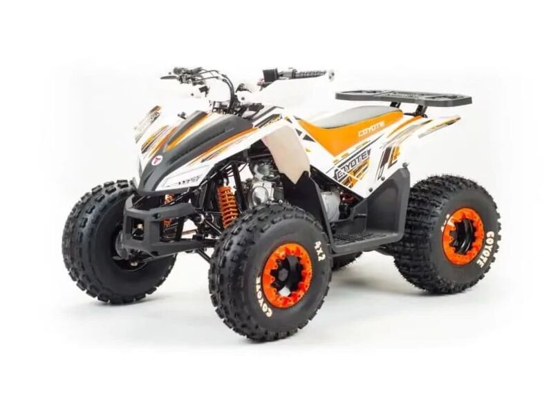 Квадроцикл MOTOLAND 125 COYOTE - изображение 25