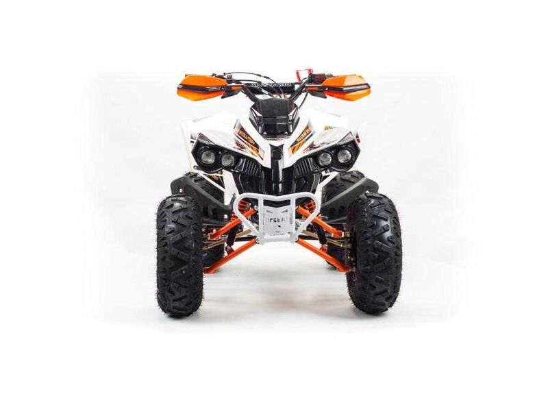 Квадроцикл MOTOLAND 125 RAPTOR - изображение 15